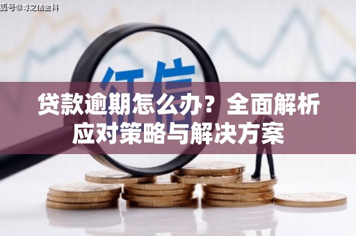 遂昌贷款逾期怎么办？全面解析应对策略与解决方案