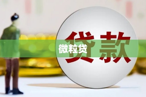 遂昌微粒贷