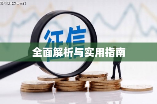 遂昌全面解析与实用指南