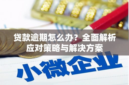 遂昌贷款逾期怎么办？全面解析应对策略与解决方案