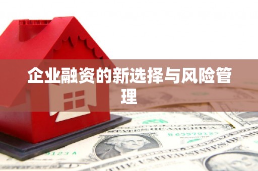 遂昌企业融资的新选择与风险管理