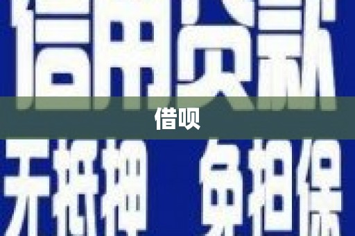 遂昌借呗