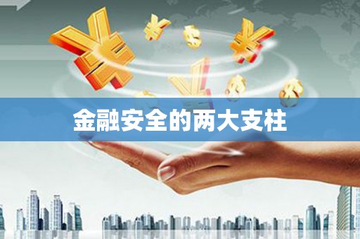 遂昌金融安全的两大支柱