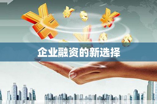 遂昌企业融资的新选择