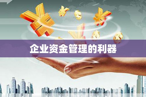 遂昌企业资金管理的利器