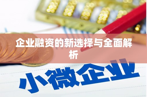 遂昌企业融资的新选择与全面解析