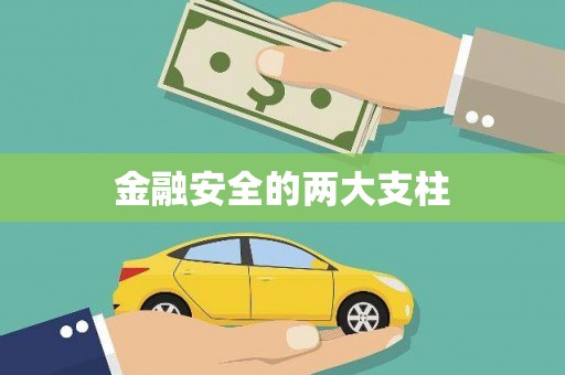 遂昌金融安全的两大支柱