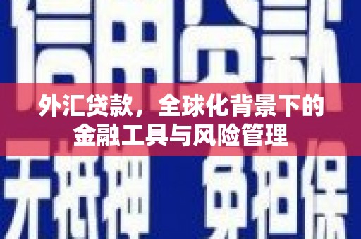 遂昌外汇贷款，全球化背景下的金融工具与风险管理