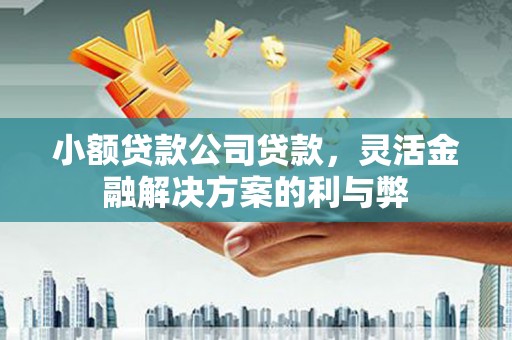 遂昌小额贷款公司贷款，灵活金融解决方案的利与弊